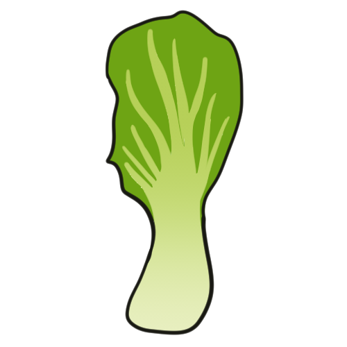 A piece of bok choy.